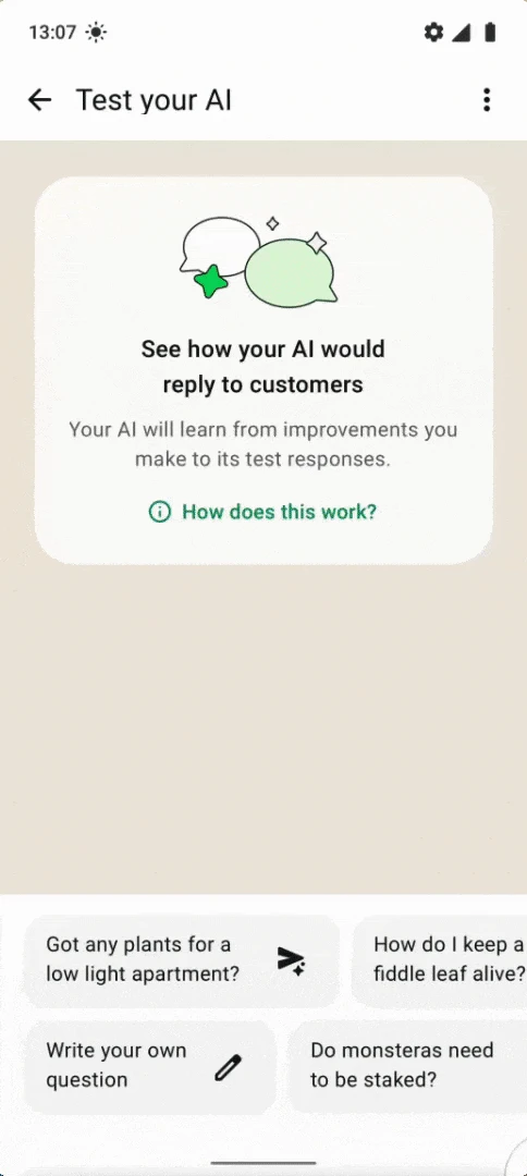 Demonstração oficial do modo Test your AI, com a opção Write your own question
